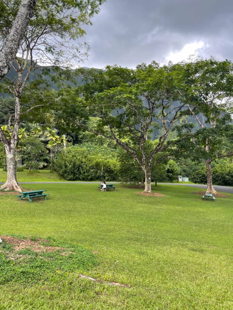 Picnic tables near rthe visitor center at Hoomaluhia Botanical Garden in Oahu, Hawaii