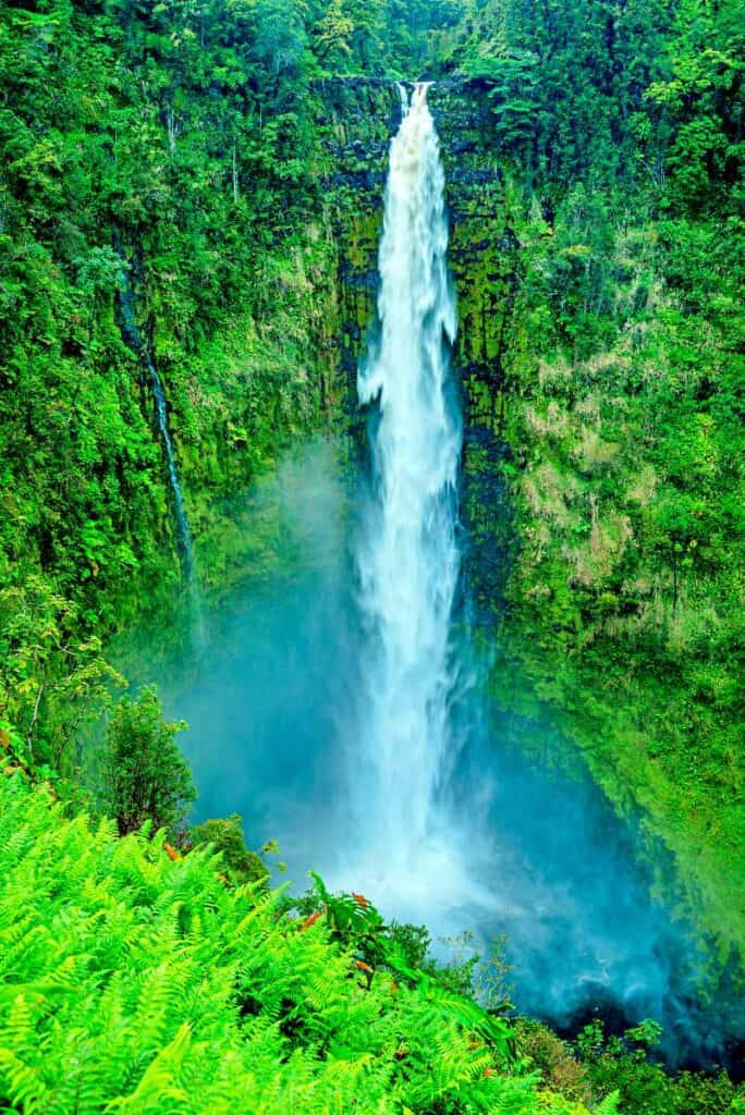 'Akaka Falls, one of the tallest waterfalls in Big Island, gushing after rains