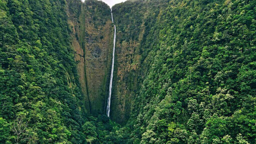 Hi'ilawe Falls, one of the tallest waterfalls in Hawaii, located in the Waipio Valley of Big Island
