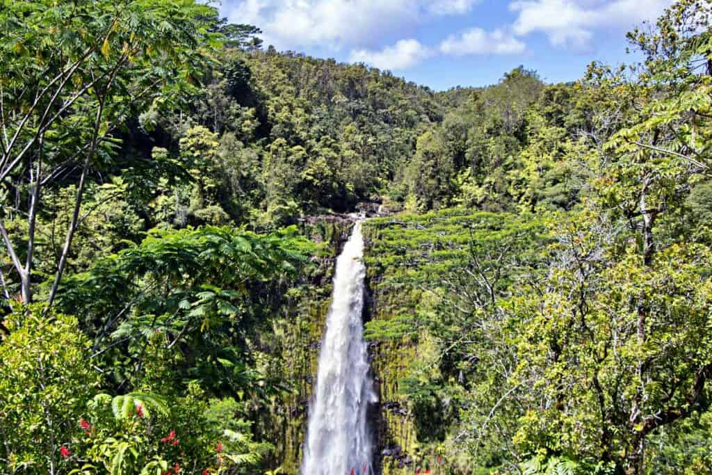 'Akaka Falls, one of the most beautiful Big Island waterfalls, set in stunning rainforest background