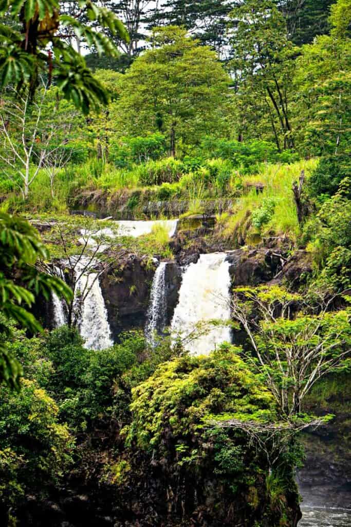 Stunning rainforest landscape around PeePee Falls in Hilo, Big Island of Hawaii