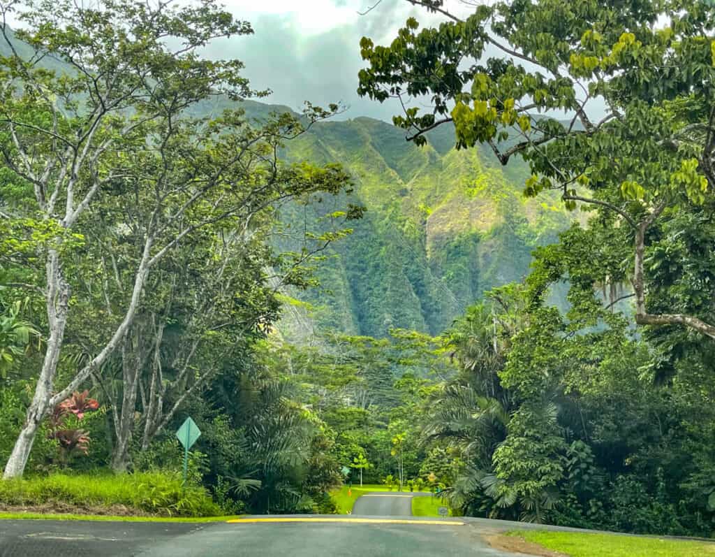 View of the Koolau Mountains on the drive through the Hoomaluhia Botanical Garden in Oahu, Hawaii