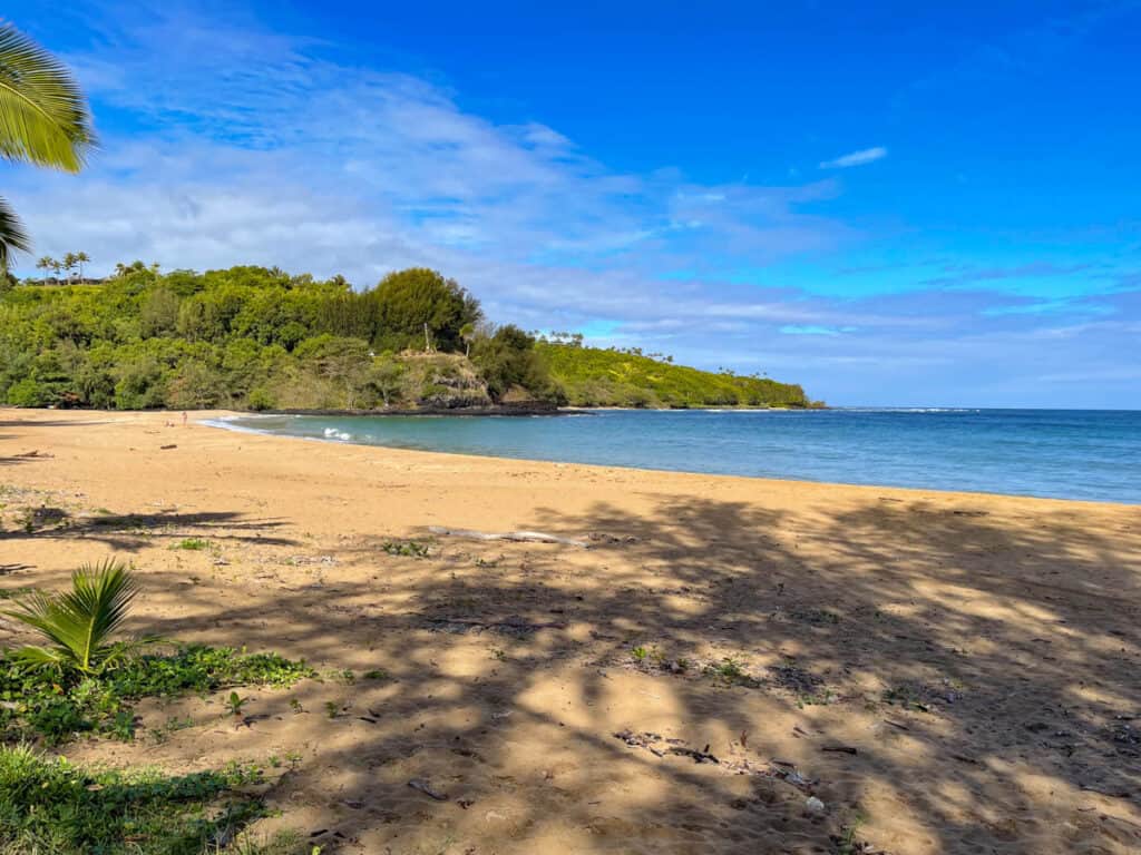 Kalihiwai Beach is a usually uncrowded beach in Kauai, Hawaii