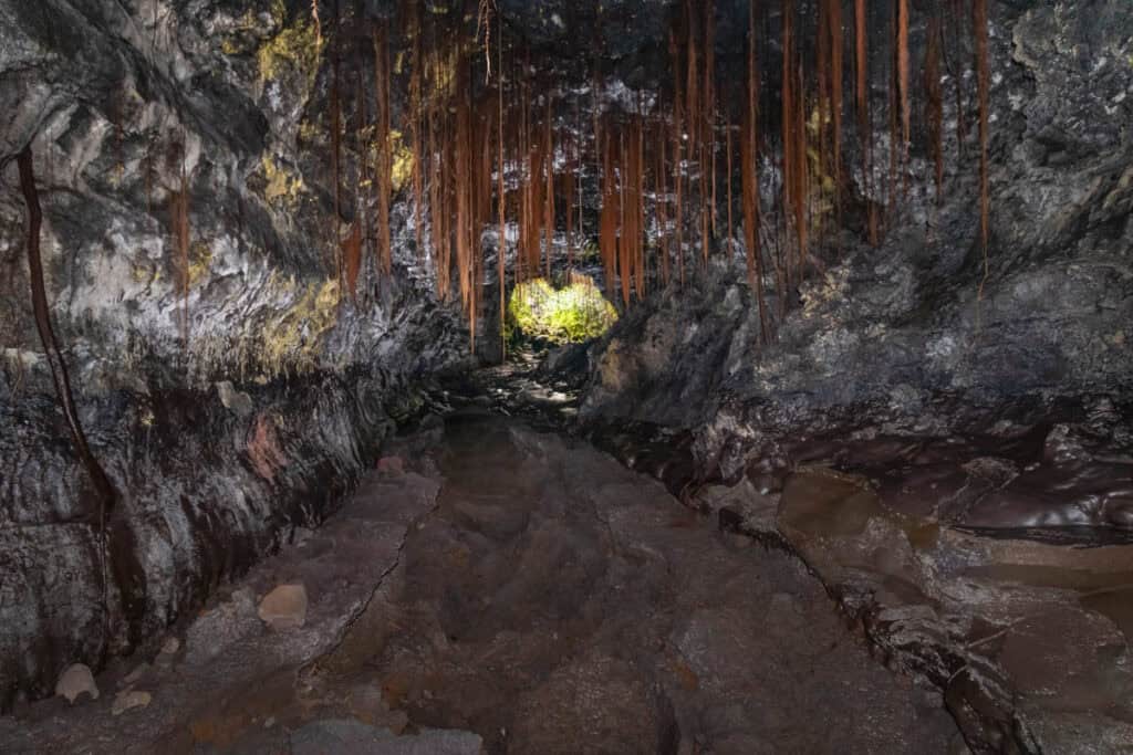 Kaumana Caves near Hilo on the Big Island of Hawaii
