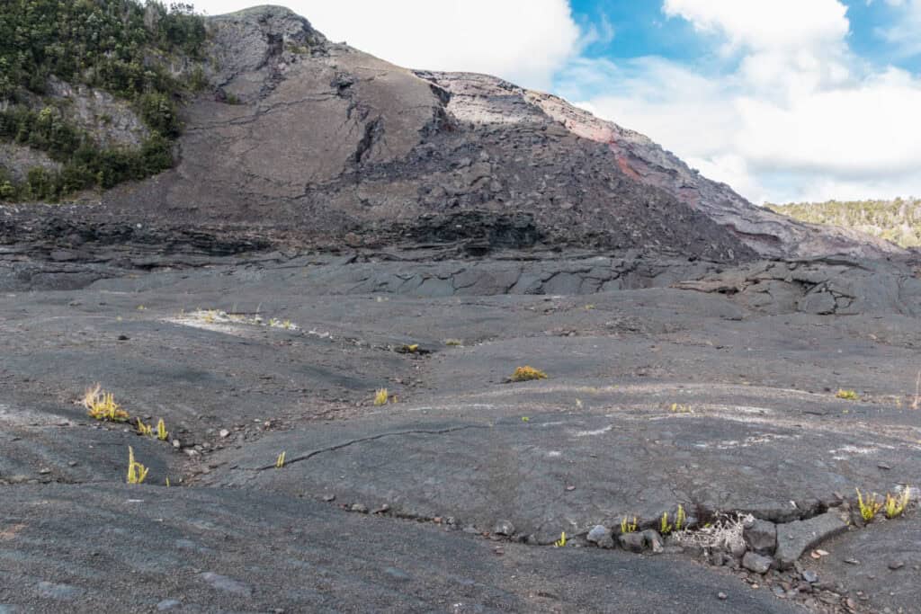 Floor of the Kilauea Iki Crater on the Big Island of Hawaii