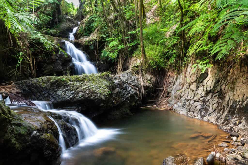 Onomea Falls in Hawaii Tropical Botanical Garden on the Big Island of Hawaii