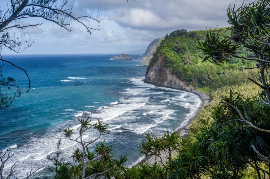  View of the black sand beach at Pololu Valley on Hawaii Island