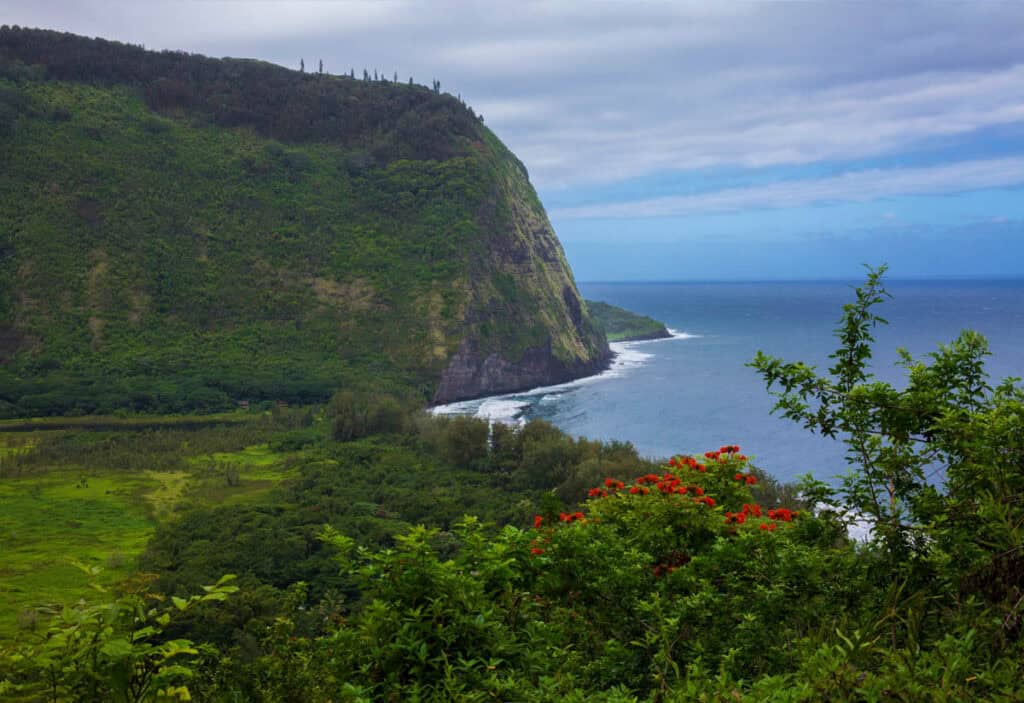 Waipio Valley lookout on the Big Island of Hawaii