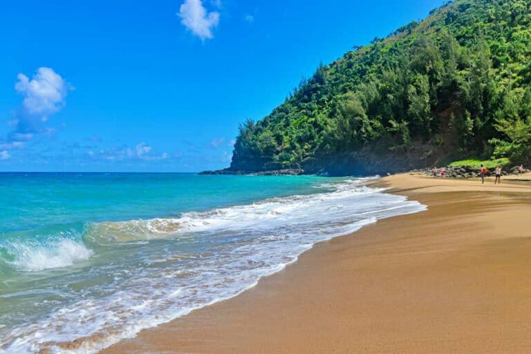 Anahola Beach Park, Kauai: Complete 2024 Guide