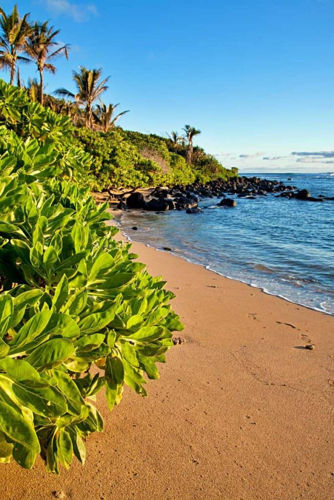 Beautiful Anahola Beach on the northeast coast of Kauai