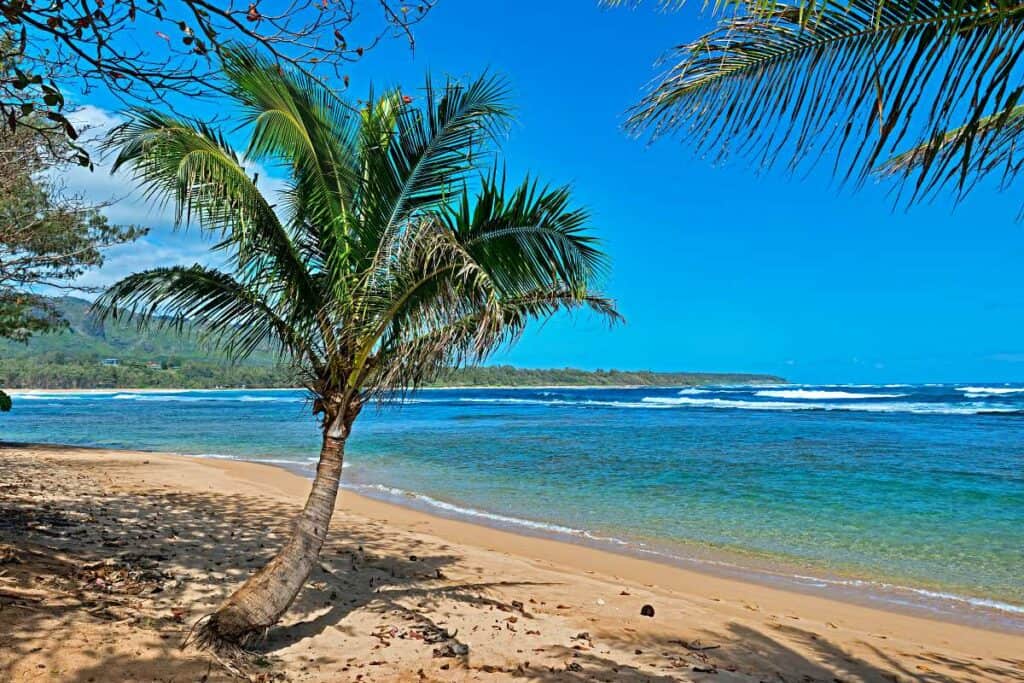 Anahola Beach, Kauai, a tropical beach paradise