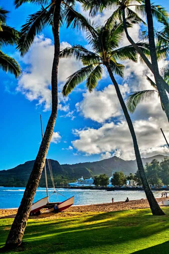 Tall swaying palm trees and deep blue waters at Kalapaki Beach, Kauai