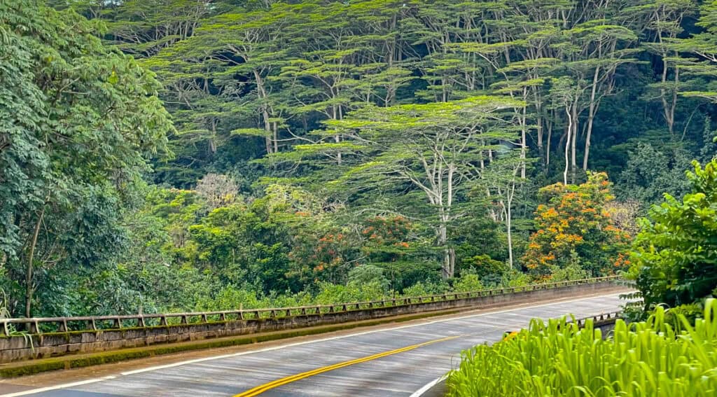 Highway on the north shore of Kauai
